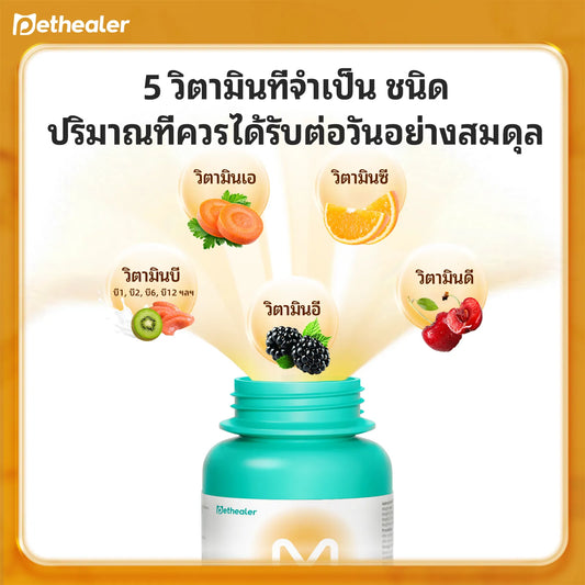 Pethealer เม็ดเคี้ยววิตามินรวม เสริมสุขภาพและภูมิคุ้มกัน