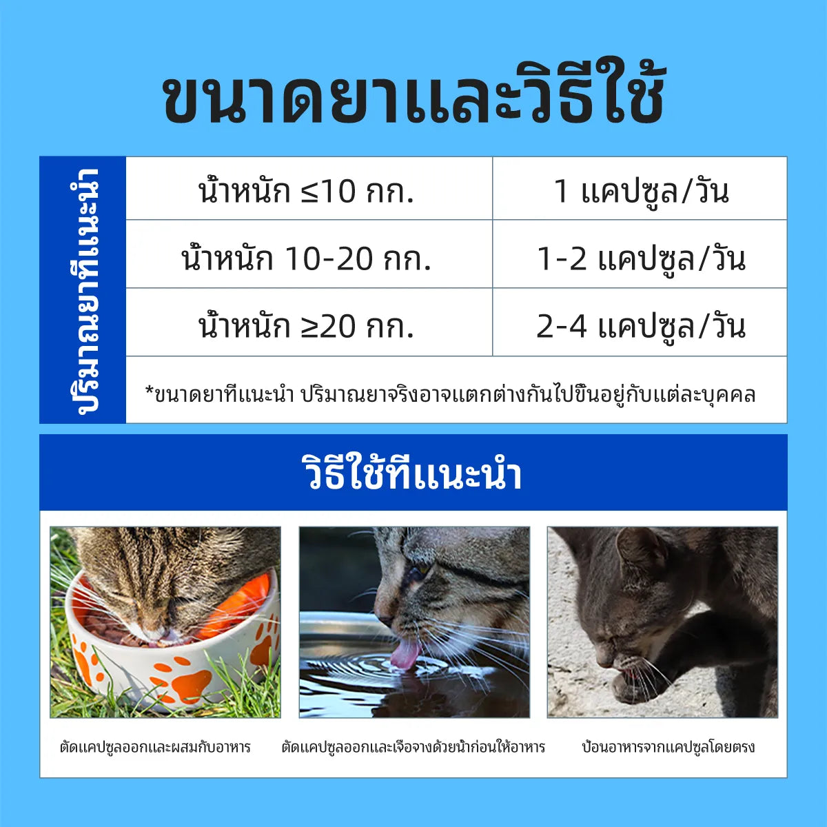 Pethealer น้ำมันปลาโอเมก้า เสริมสุขภาพผิวหนังและขน