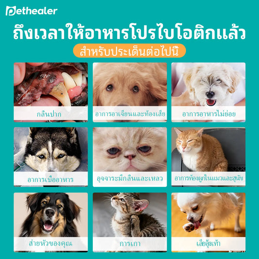 Pethealer โปรไบโอติกสูตรผสม เพื่อสุขภาพลำไส้ สำหรับสุนัขและแมว
