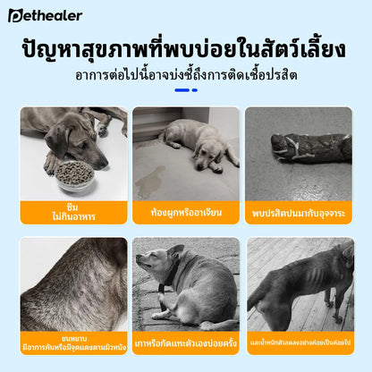 Pethealer ป้องกันเห็บ หมัด และปรสิต สำหรับสุนัขและแมว