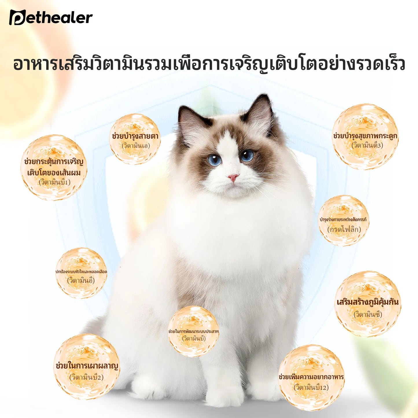 Pethealer เม็ดเคี้ยววิตามินรวม เสริมสุขภาพและภูมิคุ้มกัน