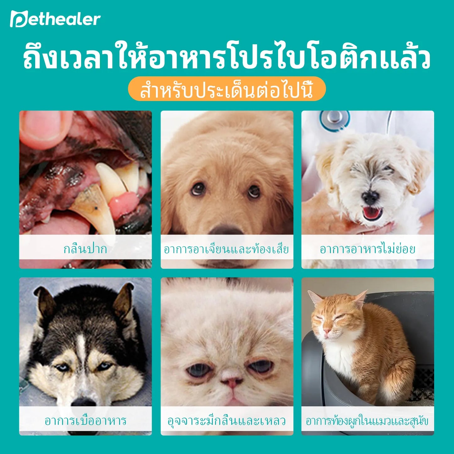 Pethealer โปรไบโอติกหลากหลายสายพันธุ์ สำหรับสุนัขและแมว