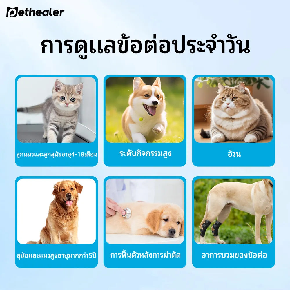 Pethealer ขนมเม็ดบำรุงข้อต่อ เสริมการเคลื่อนไหว