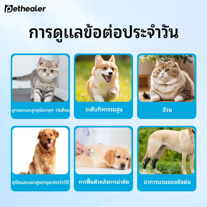 Pethealer ขนมเม็ดบำรุงข้อต่อ เสริมการเคลื่อนไหว