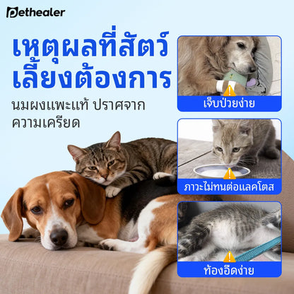 Pethealer นมแพะสำหรับสัตว์เลี้ยง บำรุงร่างกายและเสริมภูมิคุ้มกัน สำหรับสุนัขและแมว