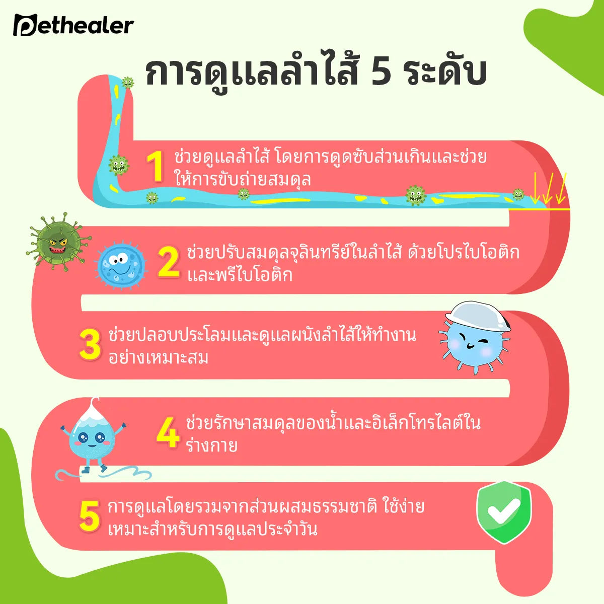 Pethealer ขนมโปรไบโอติก ช่วยการย่อยและลำไส้