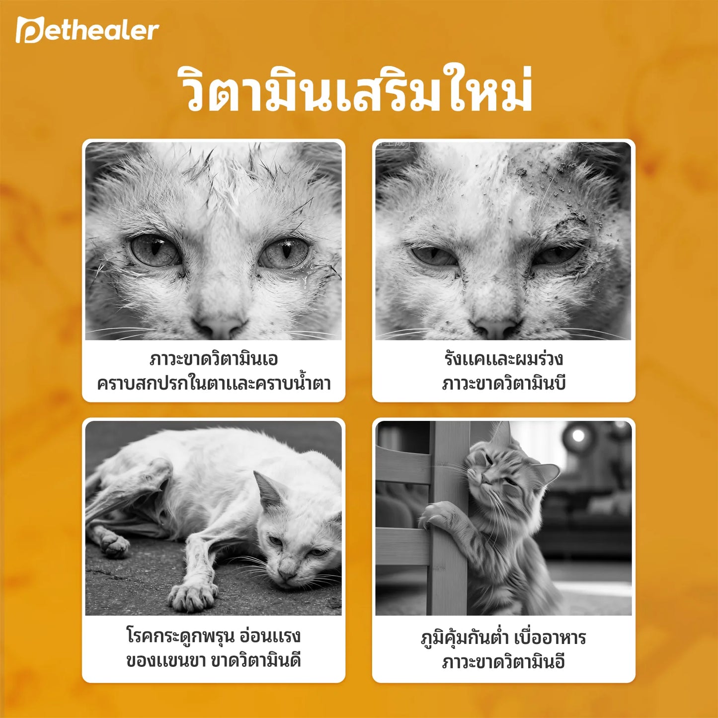 Pethealer เม็ดเคี้ยววิตามินรวม เสริมสุขภาพและภูมิคุ้มกัน