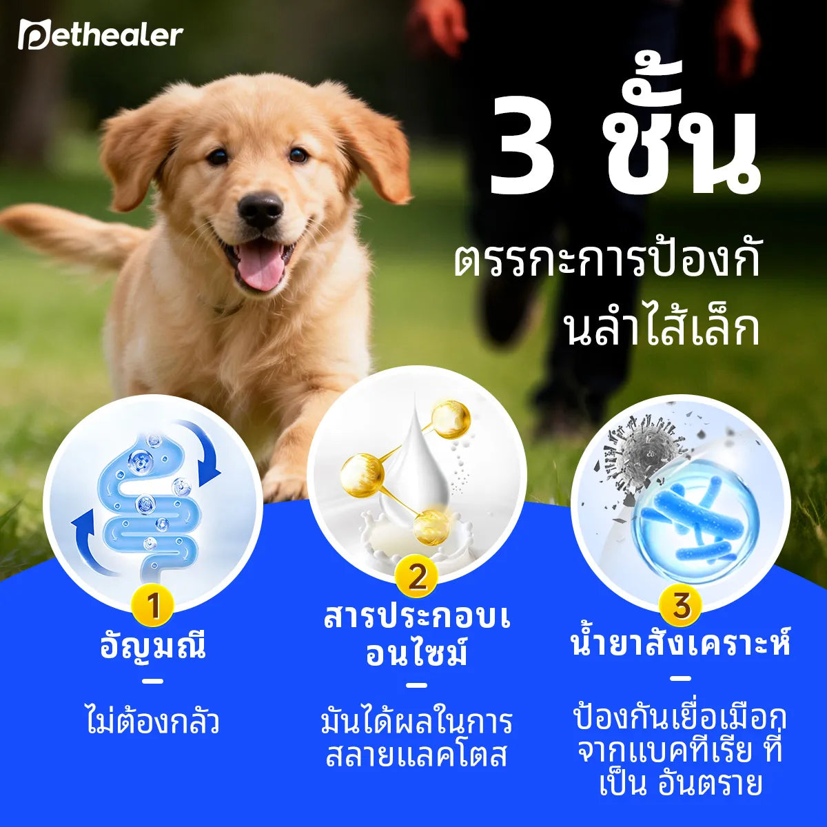 Pethealer นมแพะสำหรับสัตว์เลี้ยง บำรุงร่างกายและเสริมภูมิคุ้มกัน สำหรับสุนัขและแมว