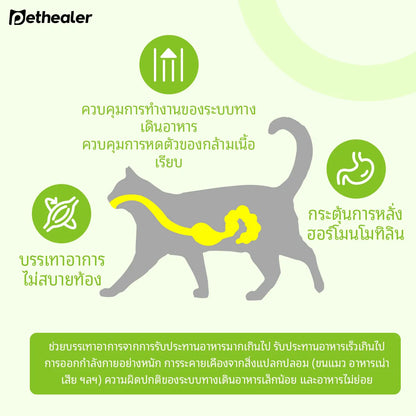 Pethealer ขนมโปรไบโอติก ช่วยการย่อยและลำไส้