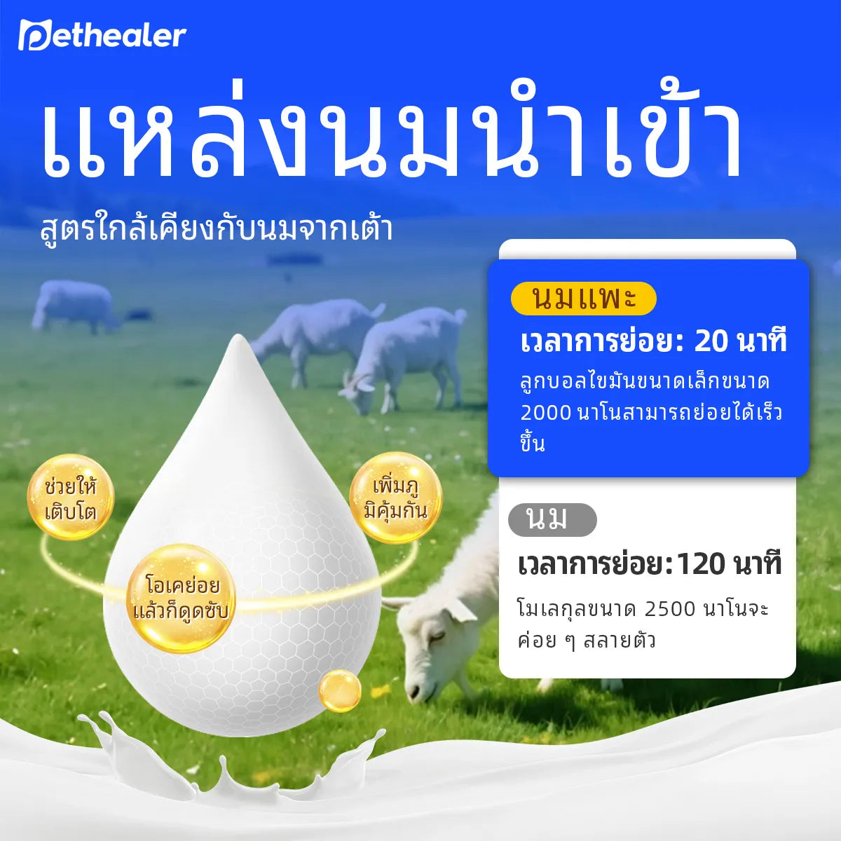 Pethealer นมแพะสำหรับสัตว์เลี้ยง บำรุงร่างกายและเสริมภูมิคุ้มกัน สำหรับสุนัขและแมว