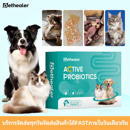 Pethealer โปรไบโอติกสูตรผสม เพื่อสุขภาพลำไส้ สำหรับสุนัขและแมว