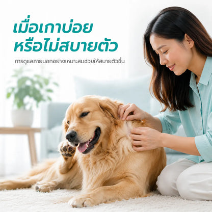 pethealer ยาหยดกำจัดเห็บหมัดสุนัข Fipronil