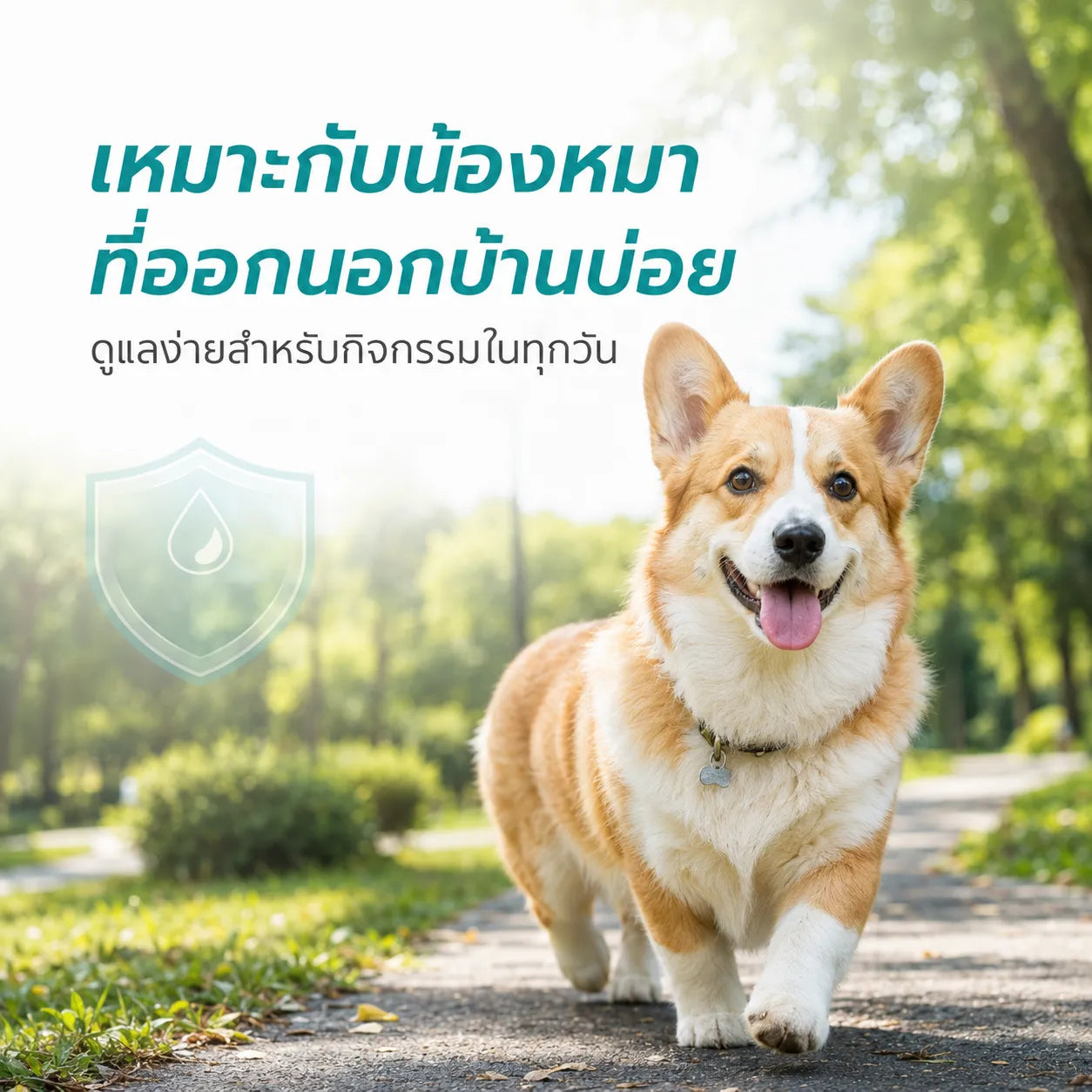 pethealer ยาหยดกำจัดเห็บหมัดสุนัข Fipronil